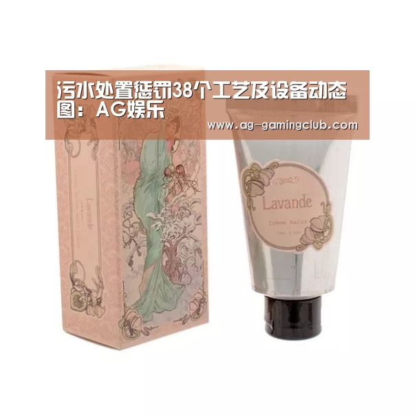 污水处置惩罚38个工艺及设备动态图:AG娱乐(图4) AG真人