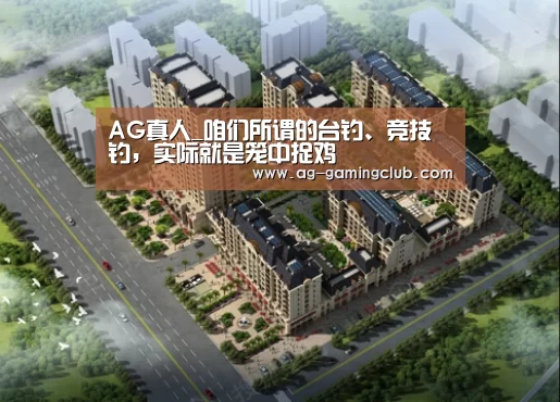 AG娱乐