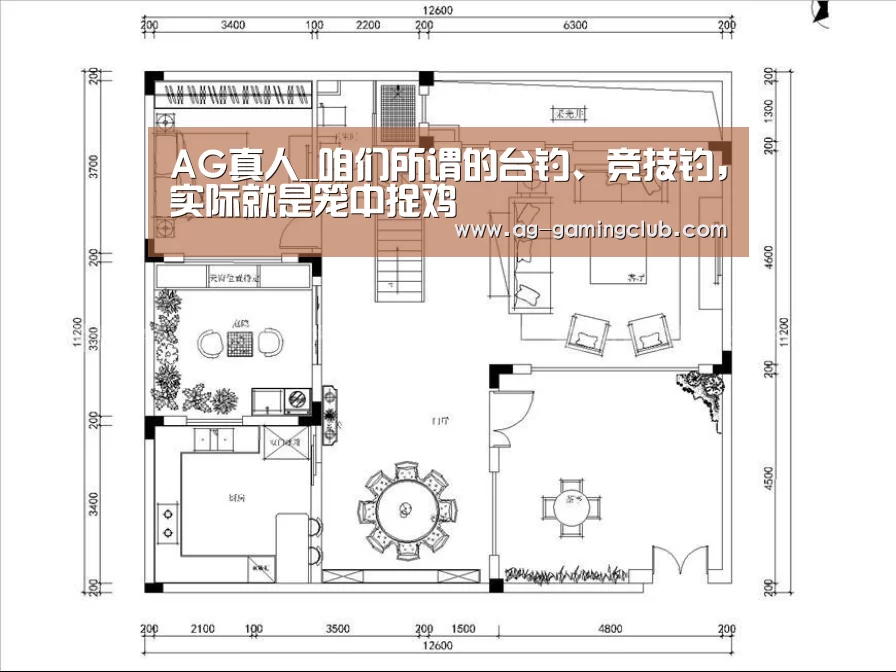 AG百家乐