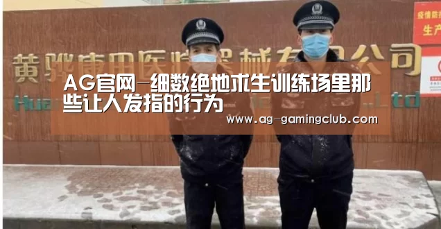 AG百家乐