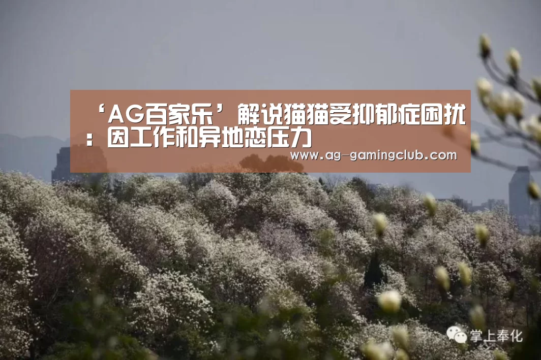 ‘AG百家乐’解说猫猫受抑郁症困扰:因工作和异地恋压力(图2) AG官网
