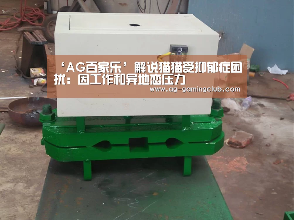 ‘AG百家乐’解说猫猫受抑郁症困扰:因工作和异地恋压力(图1) AG真人
